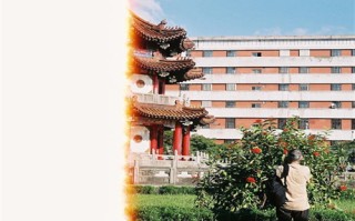 《念无双》全集百度云（hd高清）网盘【1280P中字】完整资源已分享