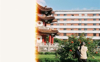 道光秘史剧情介绍（道光秘史15集）
