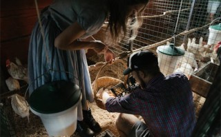破冰行动20剧情介绍（破冰行动剧情介绍电视猫剧情介绍）