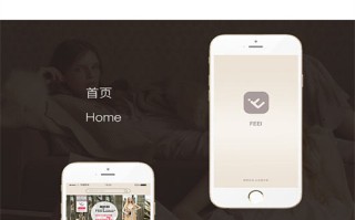 金玉良缘剧情介绍全集（金玉良缘剧情介绍全集在线观看）