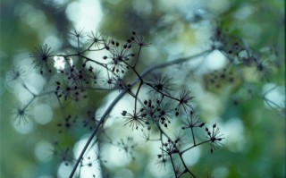 《盲点》全集-电视剧百度云网盘完整下载