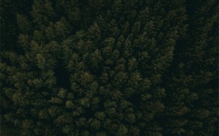 《黑色月光》-电视剧百度云BD1024p/1080p/Mp4」资源分享